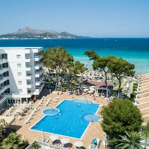 book here